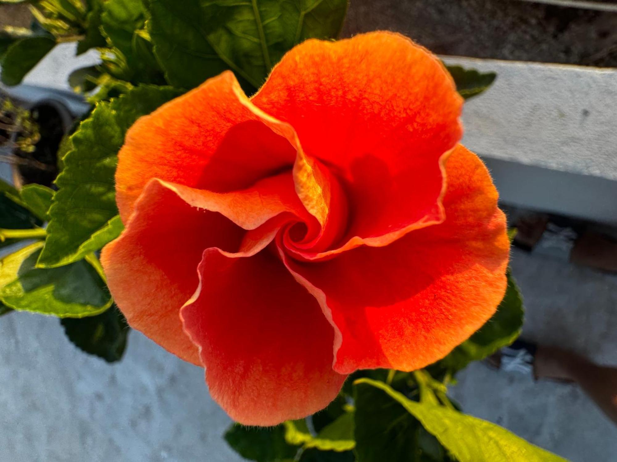 マサトラン Casa Isla Marina Vista Al Mar 20 Personasヴィラ エクステリア 写真